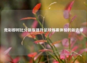 竞彩即时比分新版提升足球观赛体验的新选择