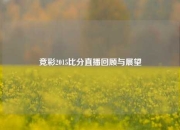 竞彩2015比分直播回顾与展望