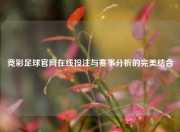 竞彩足球官网在线投注与赛事分析的完美结合
