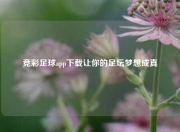 竞彩足球app下载让你的足坛梦想成真