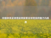 中国体育足球竞彩网探索足球竞技的魅力与机遇