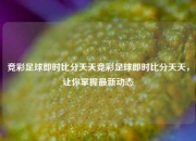 竞彩足球即时比分天天竞彩足球即时比分天天，让你掌握最新动态