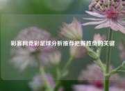 彩客网竞彩足球分析推荐把握胜负的关键