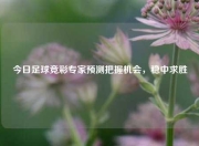 今日足球竞彩专家预测把握机会，稳中求胜