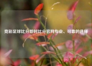 竞彩足球比分即时比分官网专业、可靠的选择