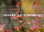 竞彩足球推荐一定牛一定牛带你稳赚不赔！