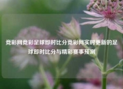 竞彩网竞彩足球即时比分竞彩网实时更新的足球即时比分与精彩赛事预测