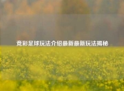 竞彩足球玩法介绍最新最新玩法揭秘