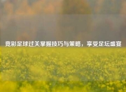 竞彩足球过关掌握技巧与策略，享受足坛盛宴