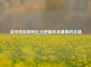 足球竞彩即时比分把握未来赛事的关键