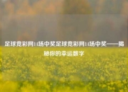 足球竞彩网14场中奖足球竞彩网14场中奖——揭秘你的幸运数字