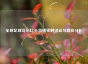 全球足球竞彩比分直播实时追踪与精彩分析