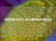 竞彩足球让球主十1深入解析让球主胜玩法