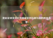 竞彩足球支持比例揭秘支持比例与你的胜负几率