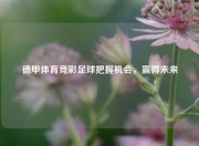 德甲体育竞彩足球把握机会，赢得未来