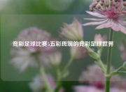 竞彩足球比赛5五彩斑斓的竞彩足球世界