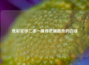 竞彩足球二串一推荐把握胜负的边缘