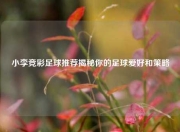 小李竞彩足球推荐揭秘你的足球爱好和策略