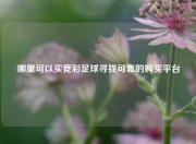 哪里可以买竞彩足球寻找可靠的购买平台