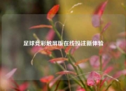 足球竞彩触屏版在线投注新体验