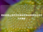 竞彩足球app支付方式竞彩足球APP的多样化支付方式解析