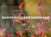 竞彩足球竞彩足球探索激情与数据的完美结合