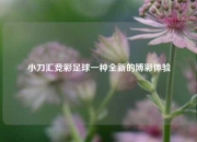 小刀汇竞彩足球一种全新的博彩体验