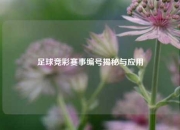 足球竞彩赛事编号揭秘与应用