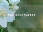 竞彩足球推荐达人您的可靠选择