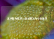 足球比分竞彩app智能投注与专业推荐