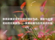 体育彩票足球竞彩软件精彩生活，体彩与足球竞彩的完美融合——探索彩票与在线游戏的魅力