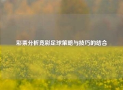 彩票分析竞彩足球策略与技巧的结合