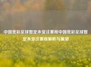 中国竞彩足球暂定未受注赛程中国竞彩足球暂定未受注赛程解析与展望