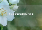怎么买足球竞彩新手入门指南