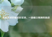 竞彩足球好难竞彩足球，一场难以预测的挑战