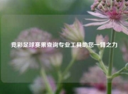 竞彩足球赛果查询专业工具助您一臂之力