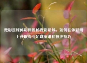 竞彩足球体彩网揭秘竞彩足球，如何在体彩网上获取专业足球资讯和投注技巧