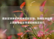 竞彩足球体彩网揭秘竞彩足球，如何在体彩网上获取专业足球资讯和投注技巧