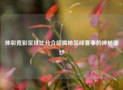 体彩竞彩足球比分介绍揭秘足球赛事的神秘面纱