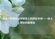 微信上的竞彩足球微信上的竞彩足球——线上博彩的新潮流