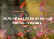 足球竞彩分析推介足球竞彩分析与推介——把握胜负关键，享受激情盛宴