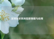 足球竞彩凯利指数策略与应用