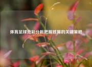 体育足球竞彩分析把握胜算的关键策略