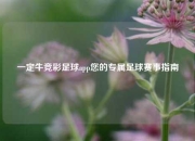 一定牛竞彩足球app您的专属足球赛事指南