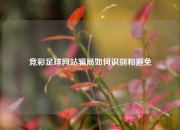 竞彩足球网站骗局如何识别和避免