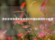 竞彩足球直播现场视频实时精彩瞬间尽在眼前