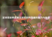 足球竞彩网直播足球竞彩网直播的魅力与挑战