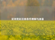 足球竞彩注册条件理解与准备