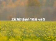 足球竞彩注册条件理解与准备