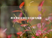 昨天竞彩足球比分分析与预测